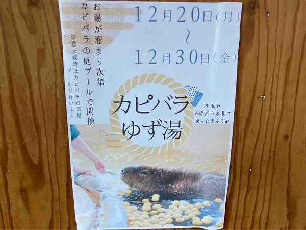 カピバラゆず湯 いくとぴあ