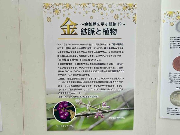 新潟県立植物園 クリスマス展
