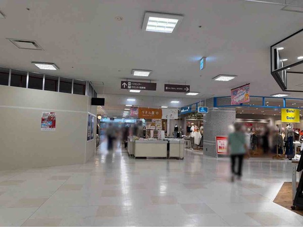 高知家