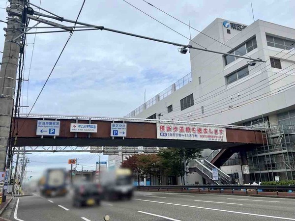 新潟市東区役所前 歩道橋