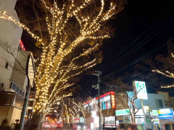 NIIGATA光のページェント