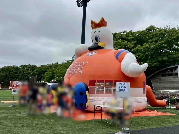 アルビレックス新潟