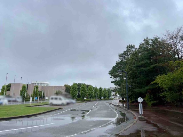 風と大地のめぐみ 凧フェスティバル&産業まつり2025