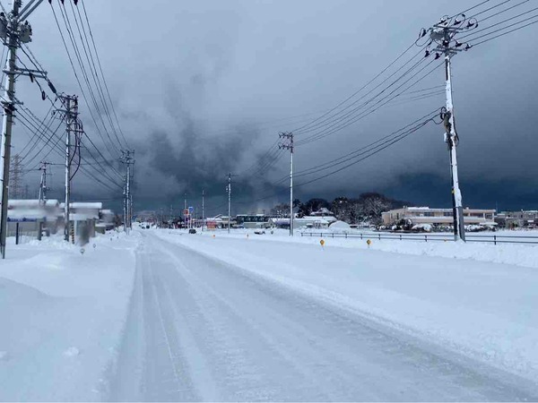 新潟県の雪情報