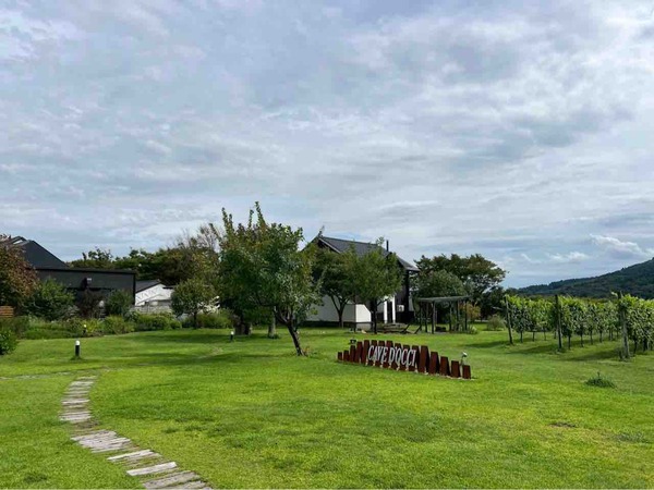 ワインフェスタ 2025～新潟ワインコースト巡り～（Wine Festa）