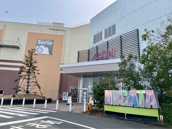 イオンモール新潟亀田インター