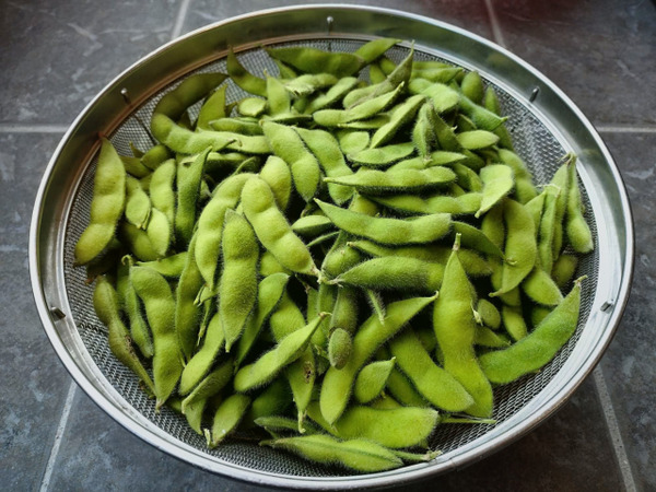 枝豆詰め放題