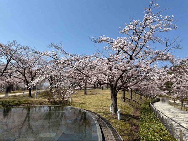 白山神社・りゅーとぴあ周辺