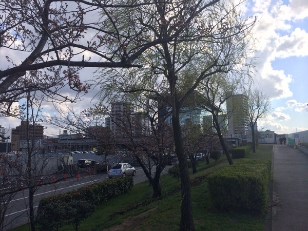 2014-04-06-16-04-44