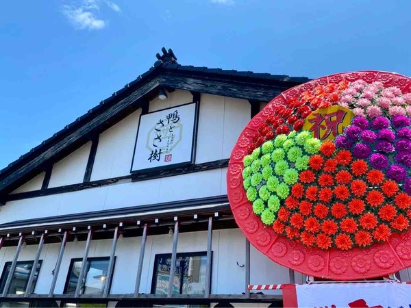鴨とささ樹
