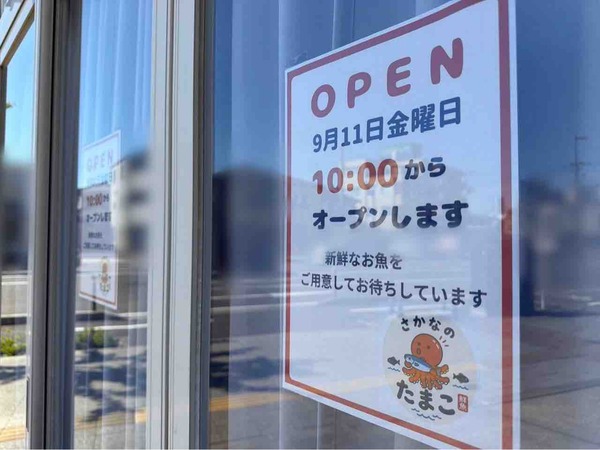 さかなのたまこ