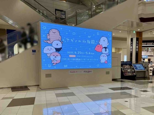 ナガノの水族館 ちいかわ POP UP STORE