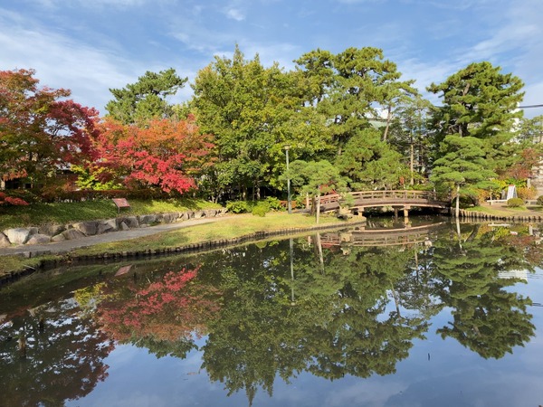 紅葉スポット2024 新潟市 白山公園