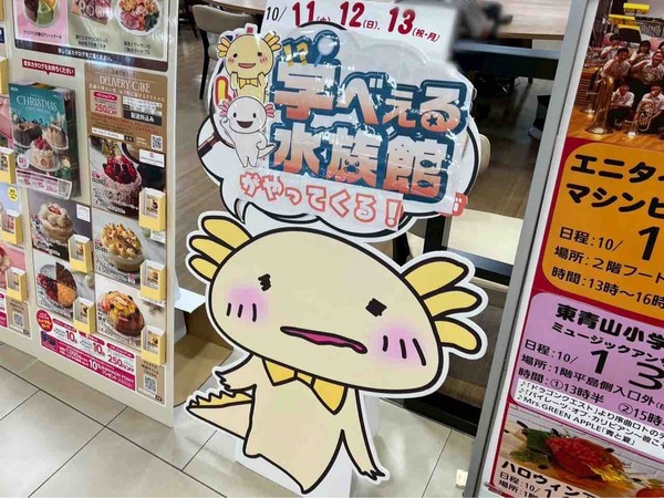 開店記念祭 みずみずランド あそべ～る水族館