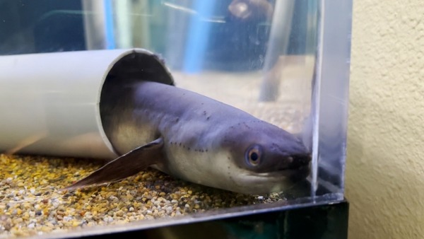 みずみずランド あそべ~る水族館