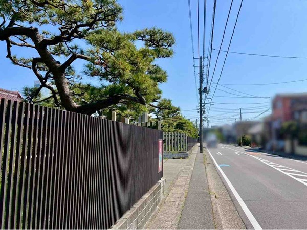 旧新潟税関庁舎 塔屋見学会