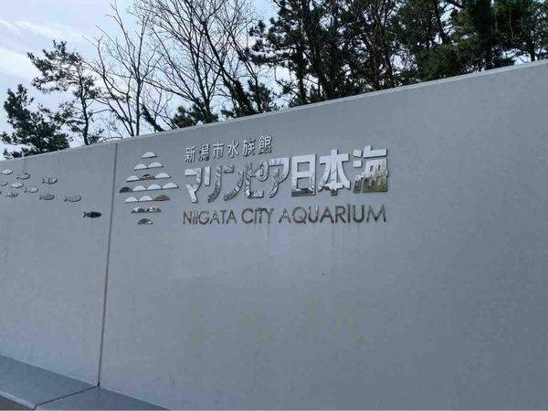 マリンピア日本海 すみっコぐらし