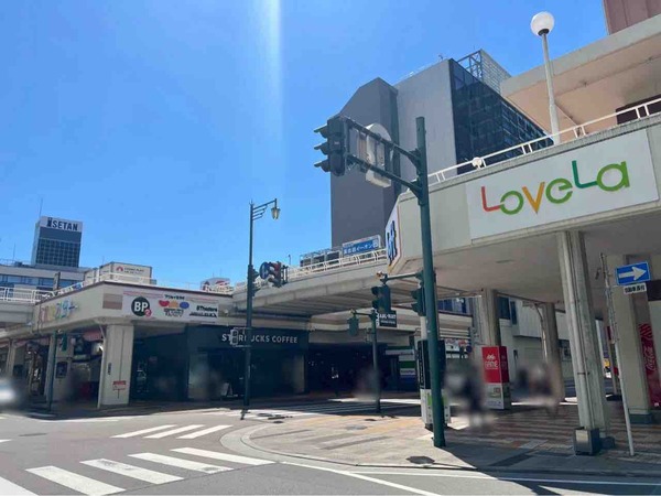 「東京＝長岡・新潟線」運行開始40周年特別企画