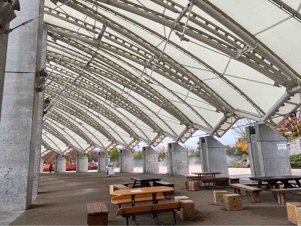 新潟県スポーツ公園 停電