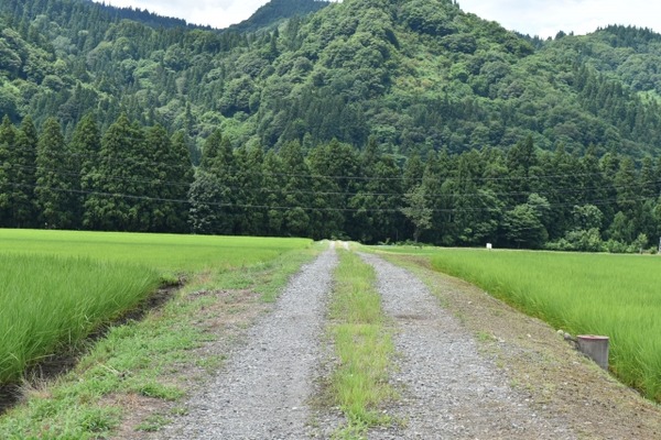 出張！安住がいく