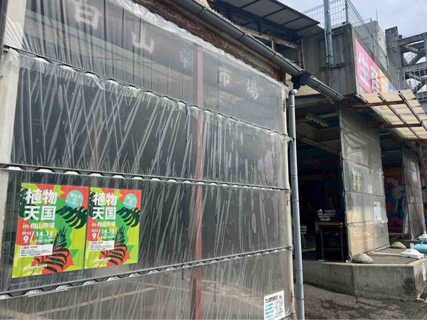 植物天国 in 白山市場