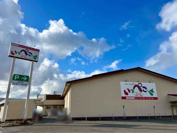 落花生詰め放題