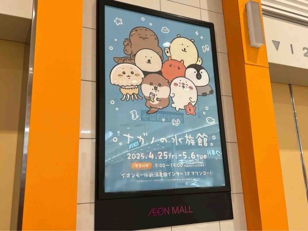 ナガノの水族館 ちいかわ POP UP STORE