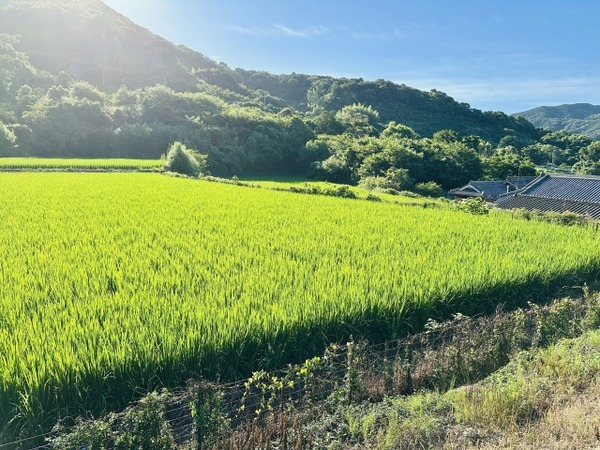 出張！安住がいく 新潟編