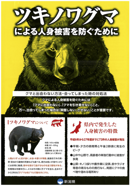 くま②