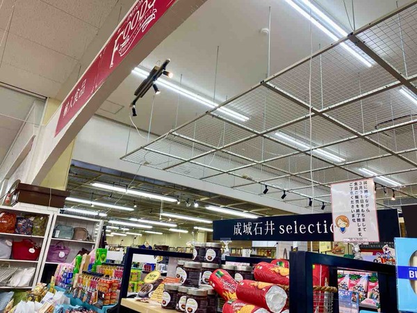 ARC OASIS 新潟店