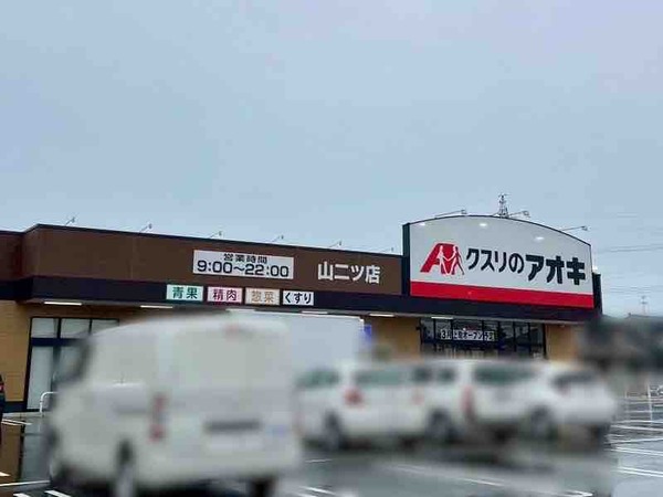 クスリのアオキ 山二ツ店