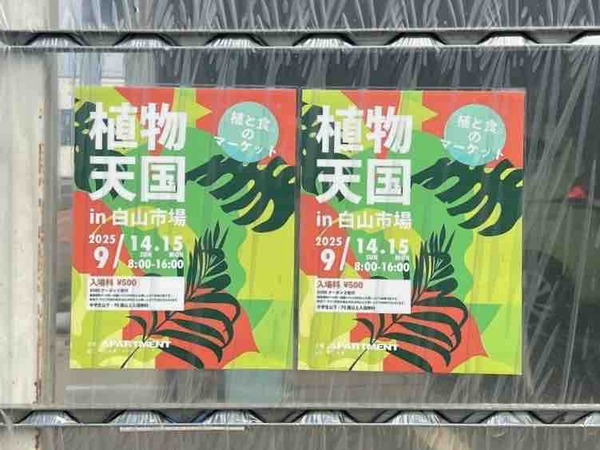 植物天国 in 白山市場