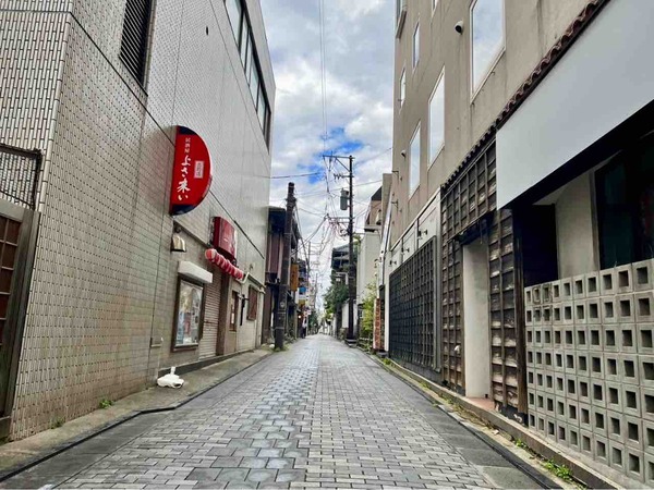 越後たくぞう