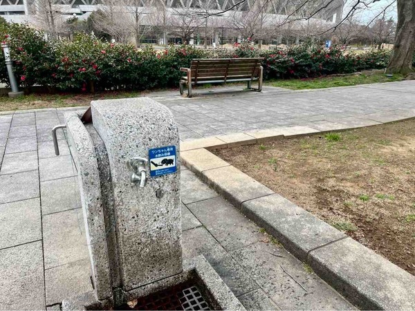 新潟県スポーツ公園