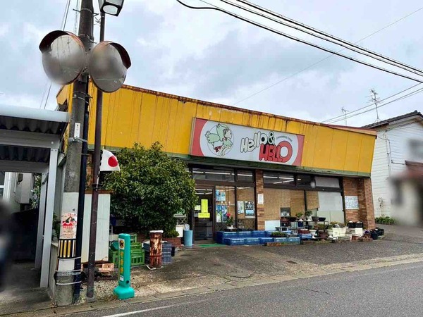 ハロー&ハロー 浦山店