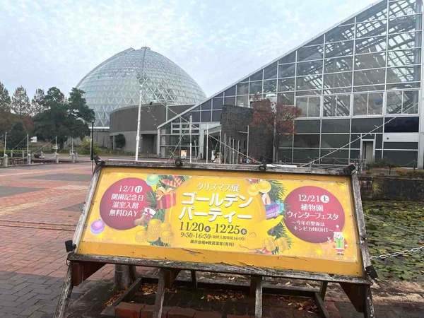 新潟県立植物園 クリスマス展