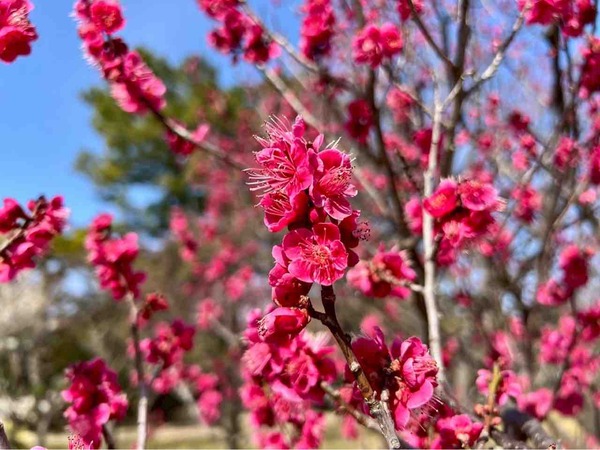 イベントまとめ