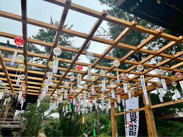 夏詣 夏越の大祓式