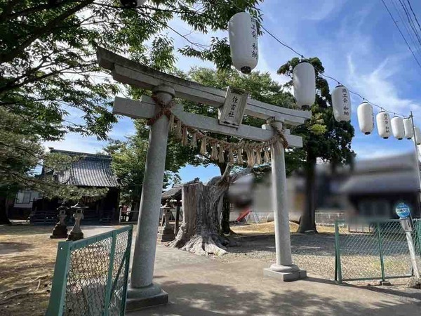 和納十五夜祭り