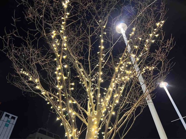 NIIGATA光のページェント