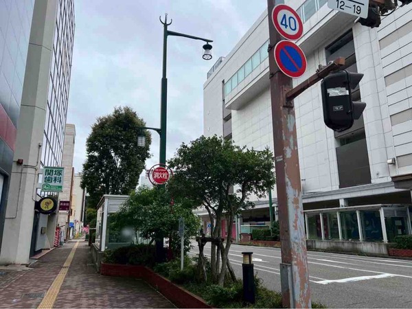 感化 ヌーベルシノワ