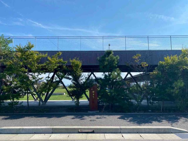 ニイガタコネルクラブパンフェス