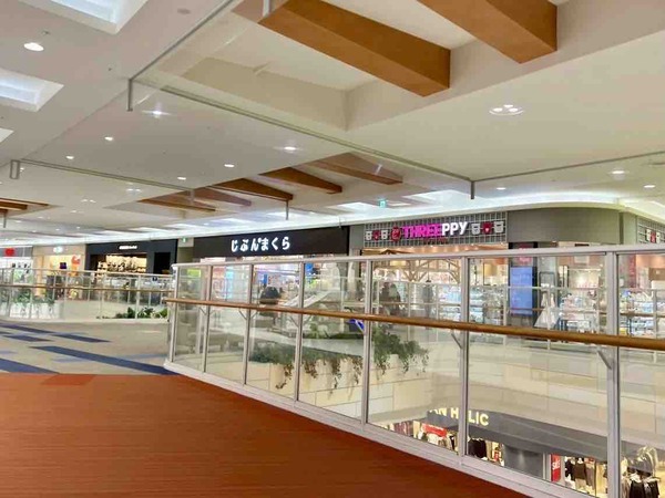 まっすぐ原色推し