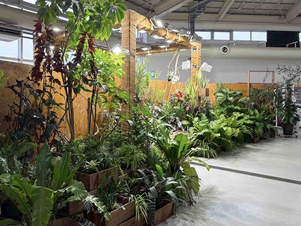 Plants Hobbyist（プランツホビイスト）-植物愛好家-