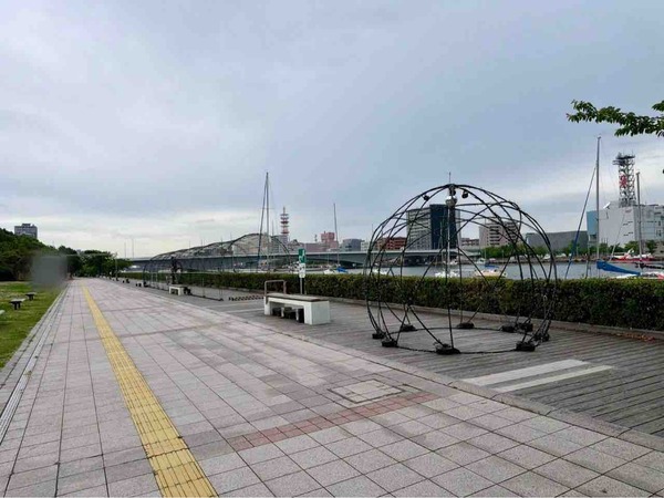 万代島 光の架け橋2026 NIIGATA 2KM LIGHT WALK