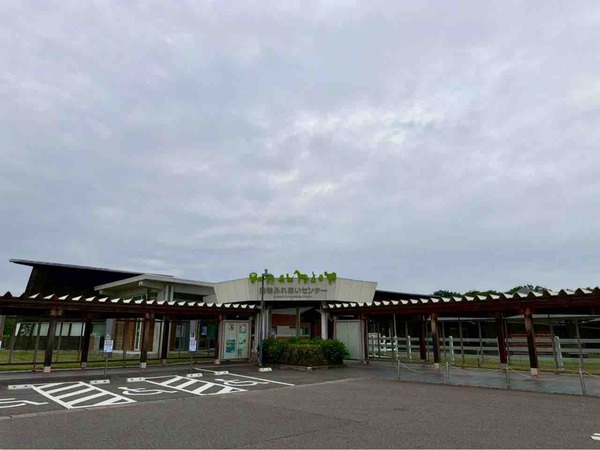 ヒツジの毛刈り