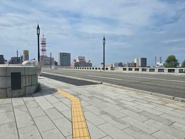 新潟シティマラソン