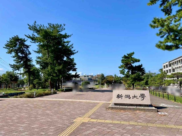 CAFE & DELI NOT THE UNIVERSITY