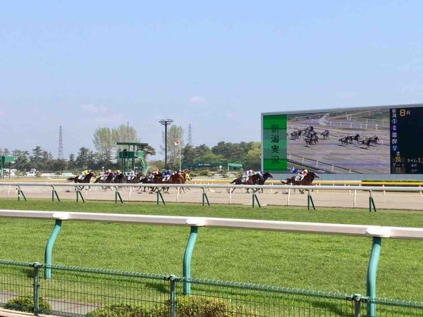 第4回 新潟競馬