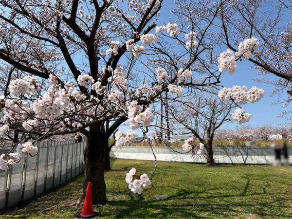 白山神社・りゅーとぴあ周辺